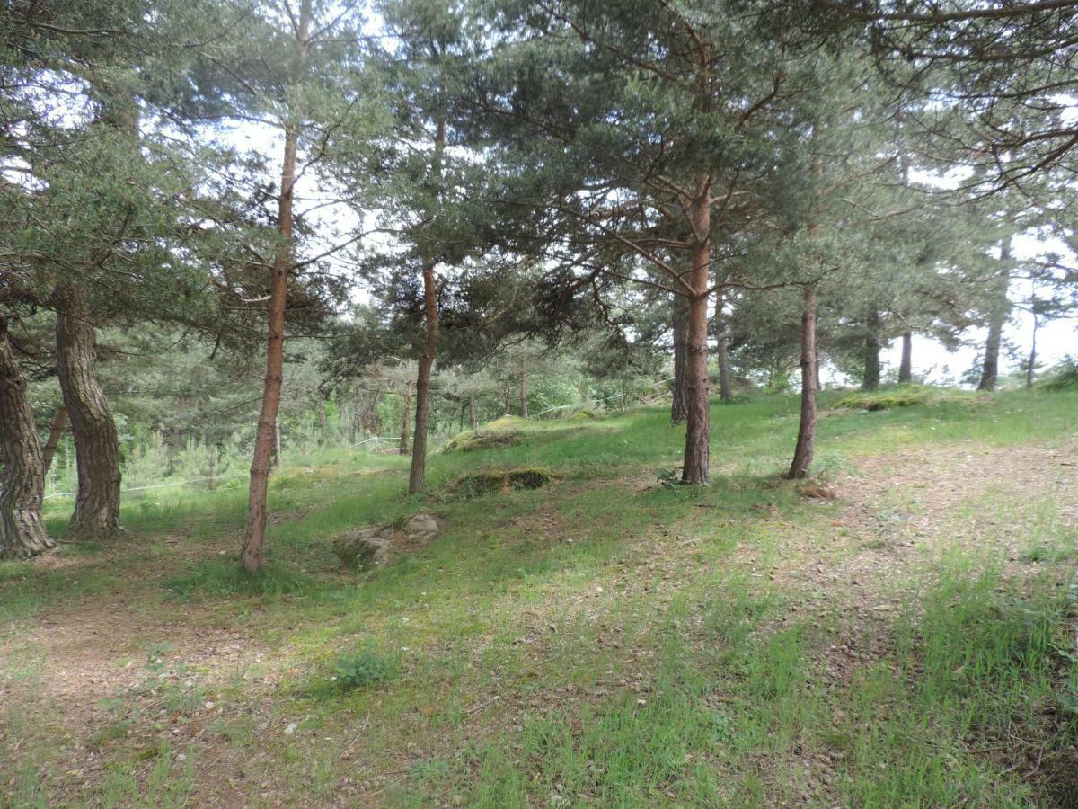 Se Reconnecter A La Nature Au Gite 3 Etoiles De Montager A Saint Andre De Chalencon Exterior photo